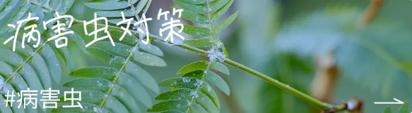 病害虫対策