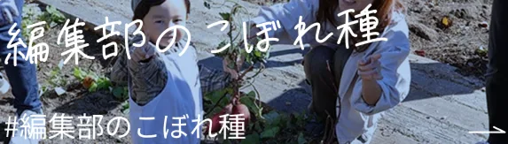 編集部のこぼれ種
