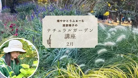 6 【新連載】中村葉子のナチュラルガーデン講座|宿根草が主役のお庭づくりにチャレンジ! 2025.02.19 #連載