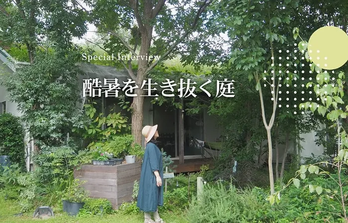 エアコンに頼らない夏の暮らし｜自然の力を活かした庭づくりのヒント