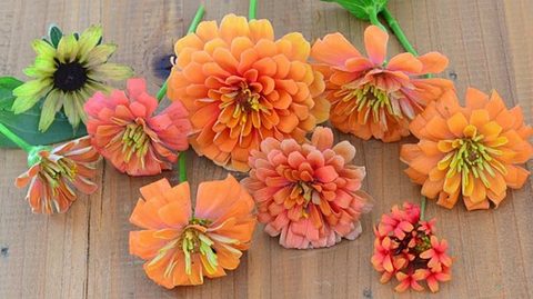 秋のガーデニング｜おすすめの秋の花12種とお手入れのポイント