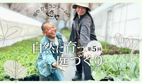 4 秋ガーデニング前に考える土づくり|みどりファームの自然に育てる庭づくり【8月】 2026.08.19 #連載