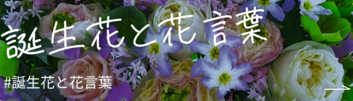 誕生花と花言葉