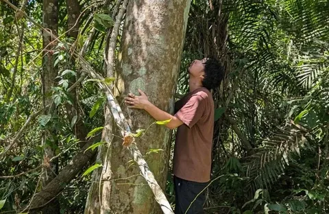 8 アマゾン先住民の傷薬コパイバ マリマリ|植物研究家・緑川誠の世界の文化と植物をめぐる旅 第7回 2025.09.09 #連載